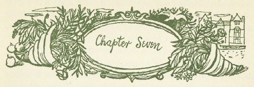 Chapter Seven