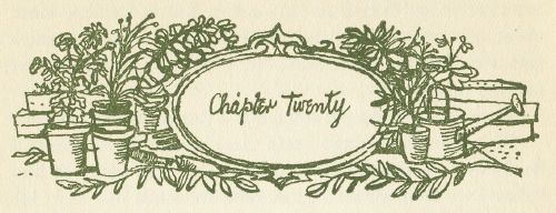 Chapter Twenty