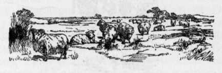 Pastoral scene