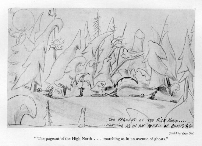 "The pageant of the High North ... marching as in an avenue of ghosts."  <I>Sketch by Grey Owl</I>.