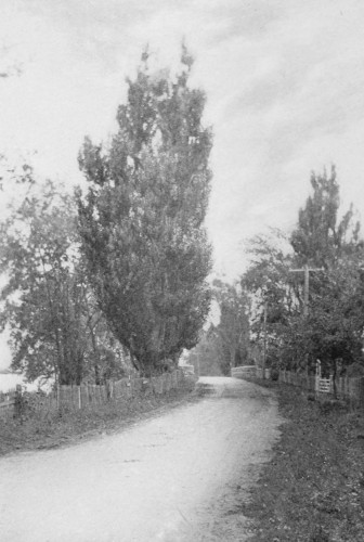 The river road on Montreal Island