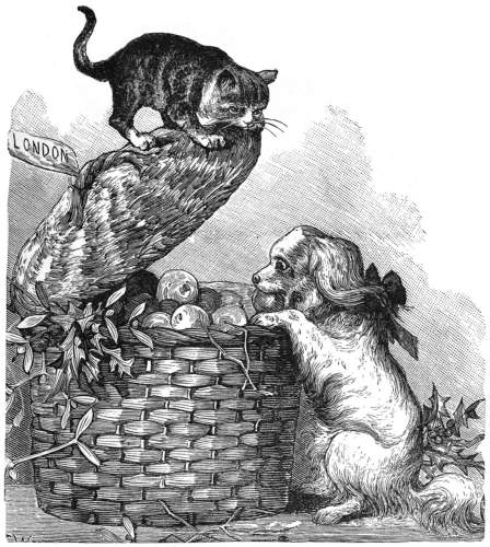 cat and dog on a basket of apples.
