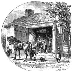 Horse at the blacksmith.