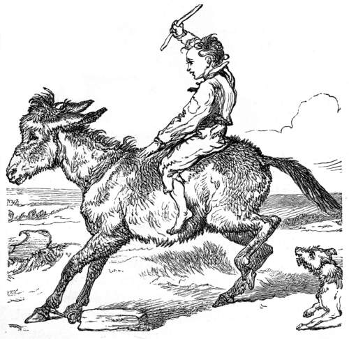 Boy riding a donkey.