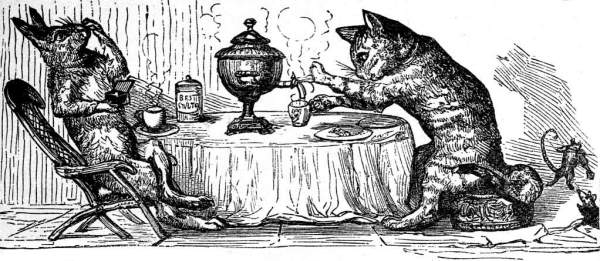 cat at tea, rabbit taking snuff.