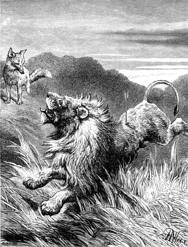 THE LION WOUNDED.