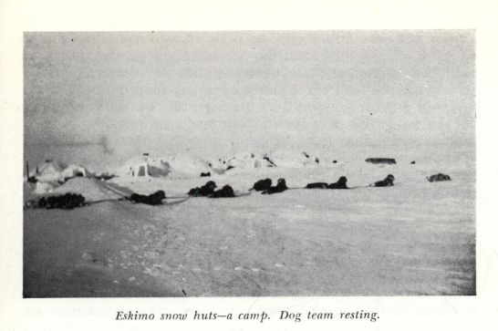 Eskimo snow huts--a camp.  Dog team resting.